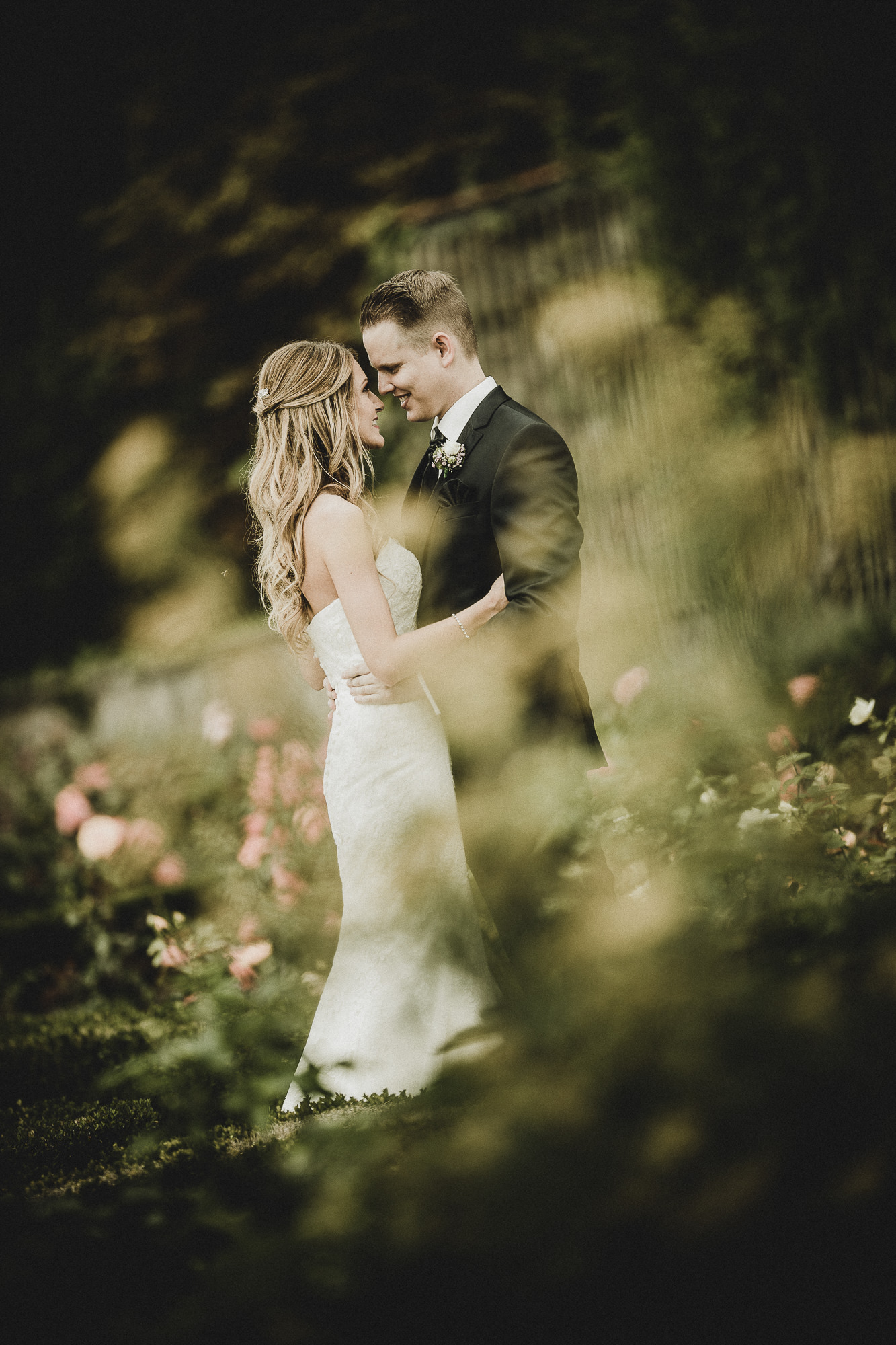 Export x3 1DX28230 Hochzeit 2017 Cécile & Beni